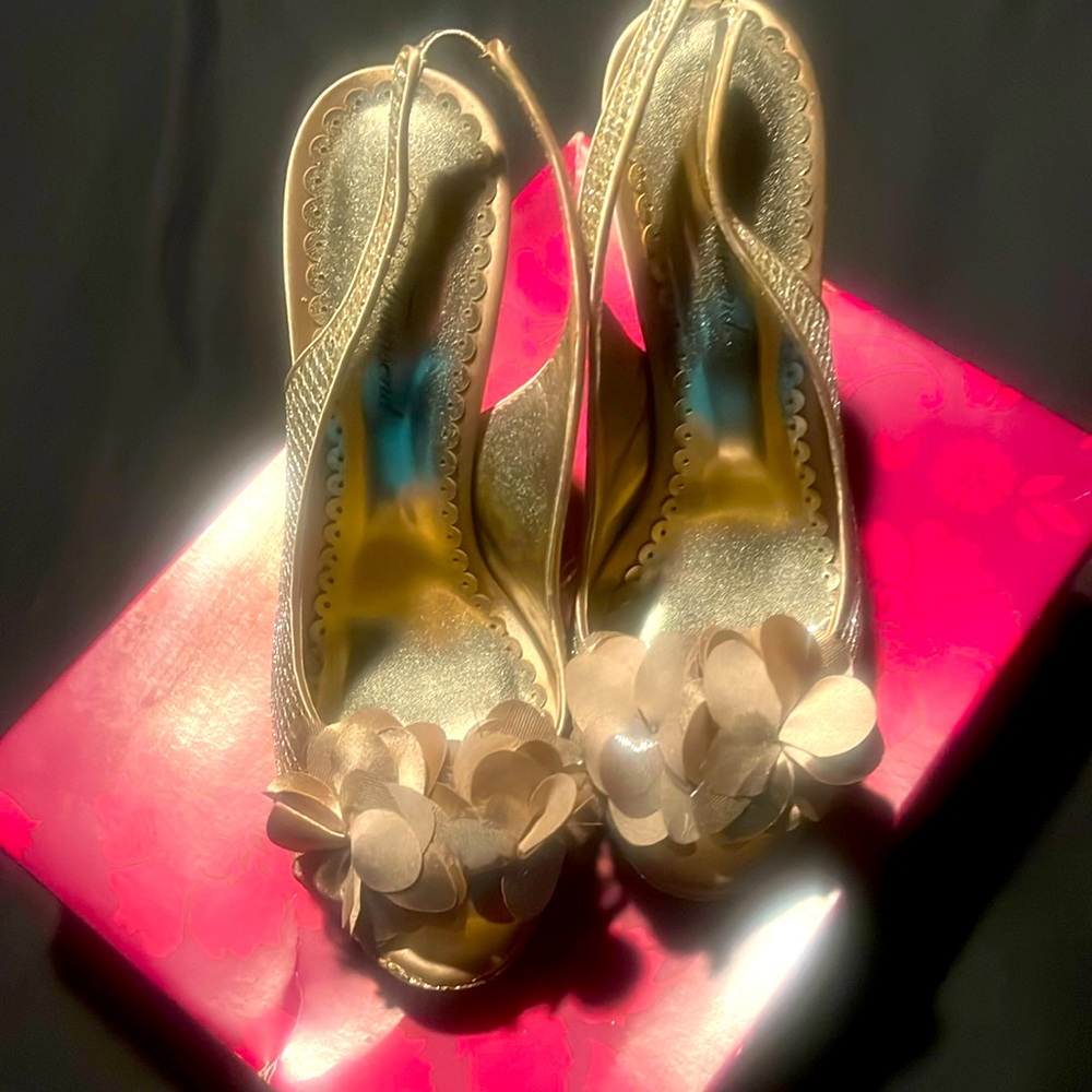 Platinum Gold Shoes